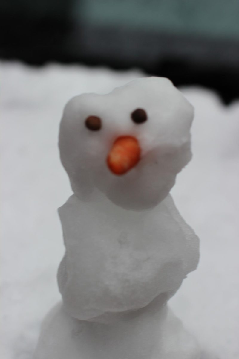 “snowman” by Jameson Fink, CC BY 2.0